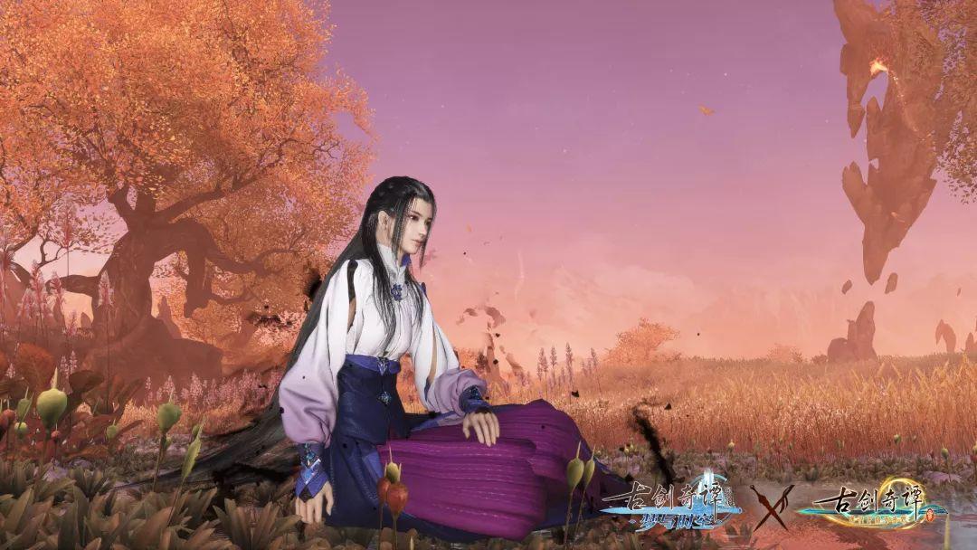 探索知识星球平台-华为手机什么型号好用共享学习社区